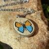 DSC_9487-01 Butterfly Necklace
